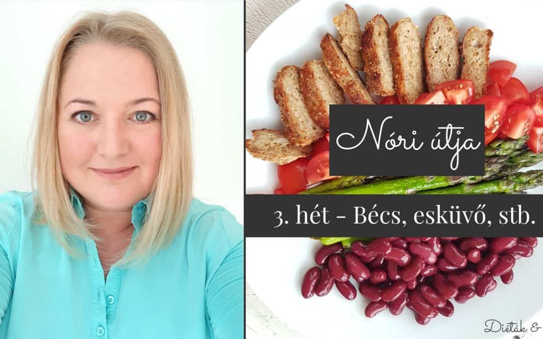 Nóri útja 3. hét: Bécs, esküvő és „ezvoltahéten”