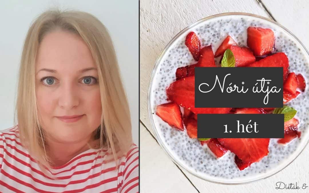 Nóri útja 1. hét: célkitűzés és „ezvoltahéten”